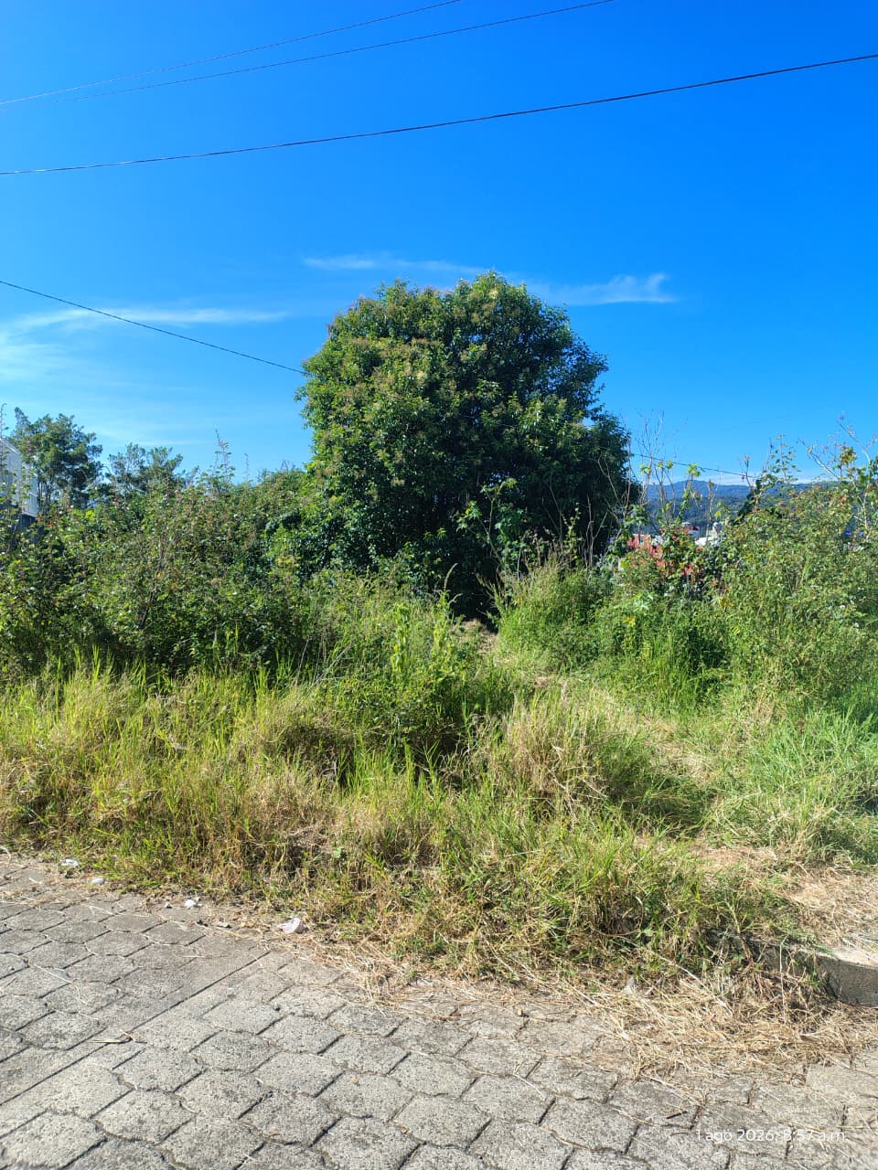 Vista 6 de Lote en Palpa 1